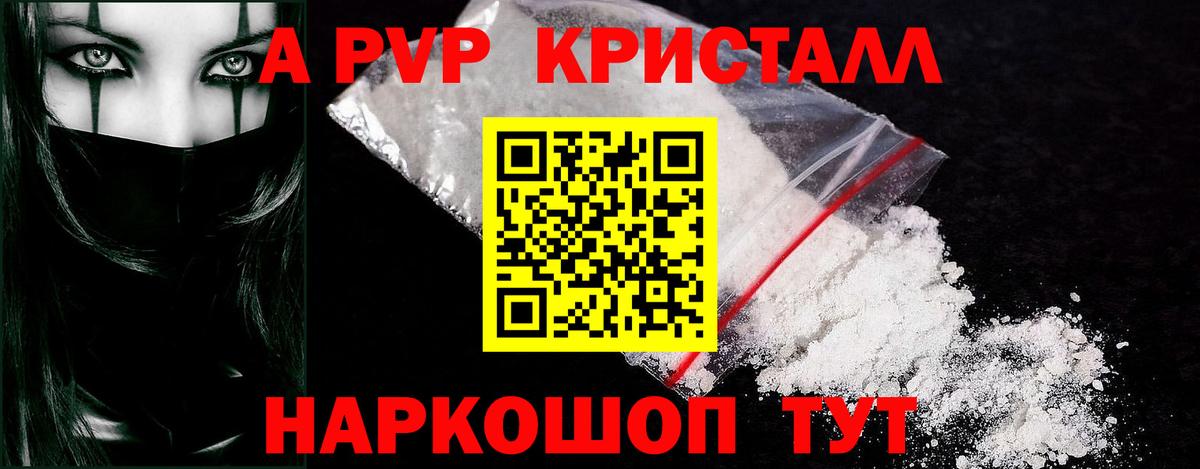 Альфа ПВП СК Зеленогорск