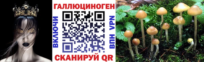 kraken ссылки закладка Зеленогорск Галлюциногенные грибы MAGIC MUSHROOMS