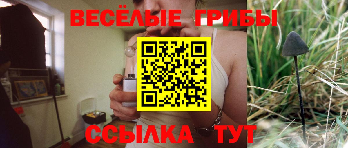 Зеленогорск  Галлюциногенные грибы мухоморы  Псилоцибиновые грибы ЛСД  Вход с VPN 