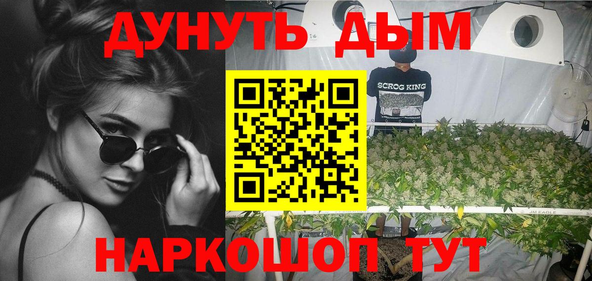 Шишки марихуана сатива  Марихуана сатива  Вход с VPN  Зеленогорск  Шишки марихуана OG Kush 